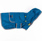 Premium dog rain jacket with top leash hole for harness attachment