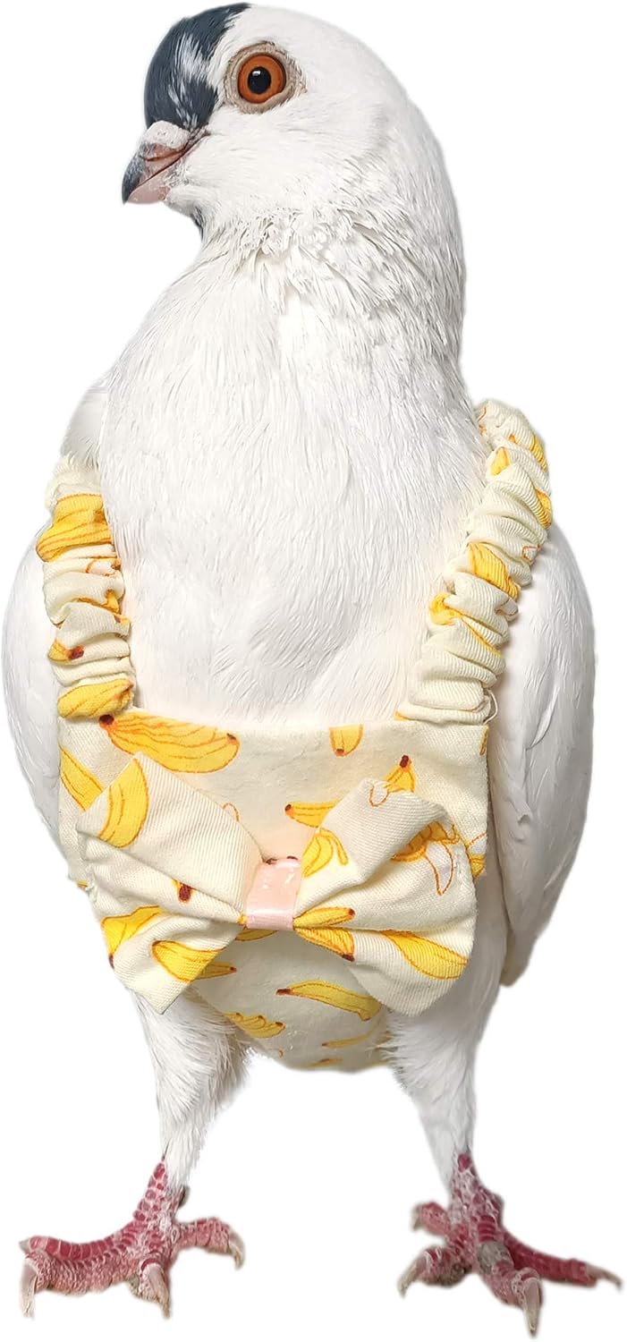Yuyuso pigeon diaper pants showing adjustable velcro straps