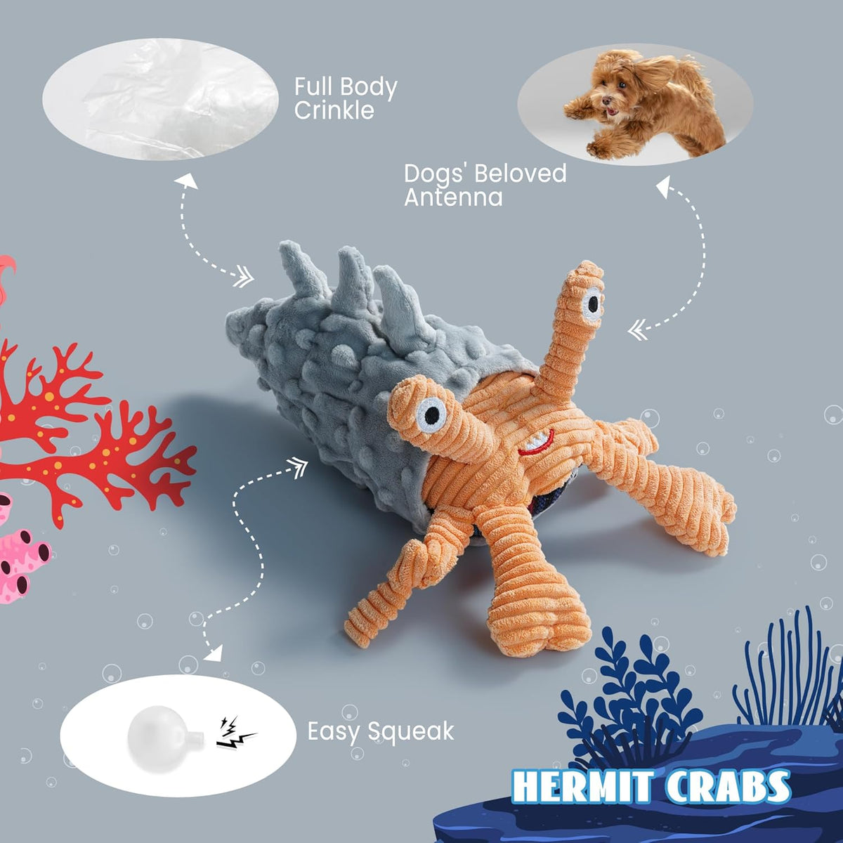 Sea shell crinkle pet plush toy demonstrating compact size for medium and small breeds