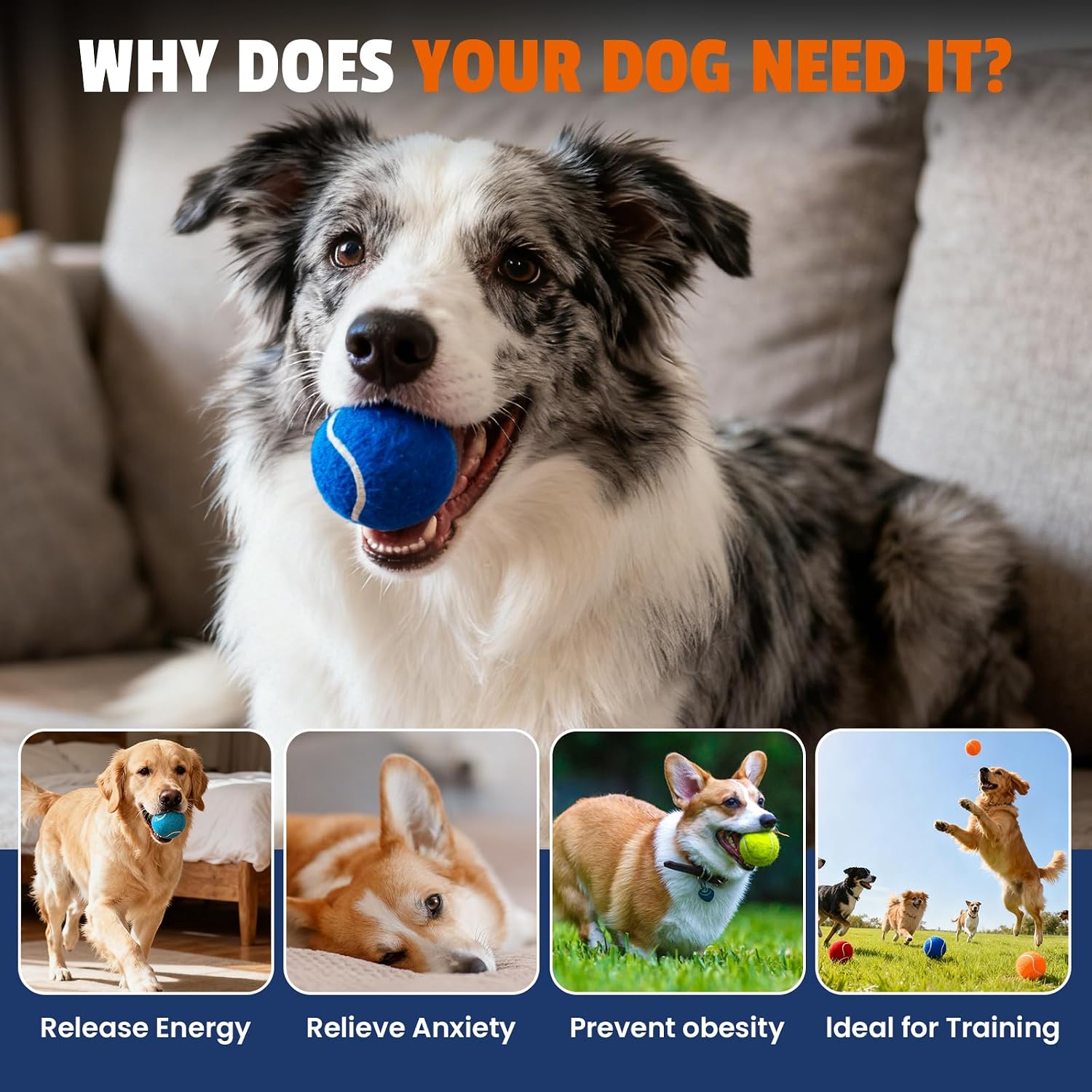Dog trainer using Furwey fetch balls for agility practice