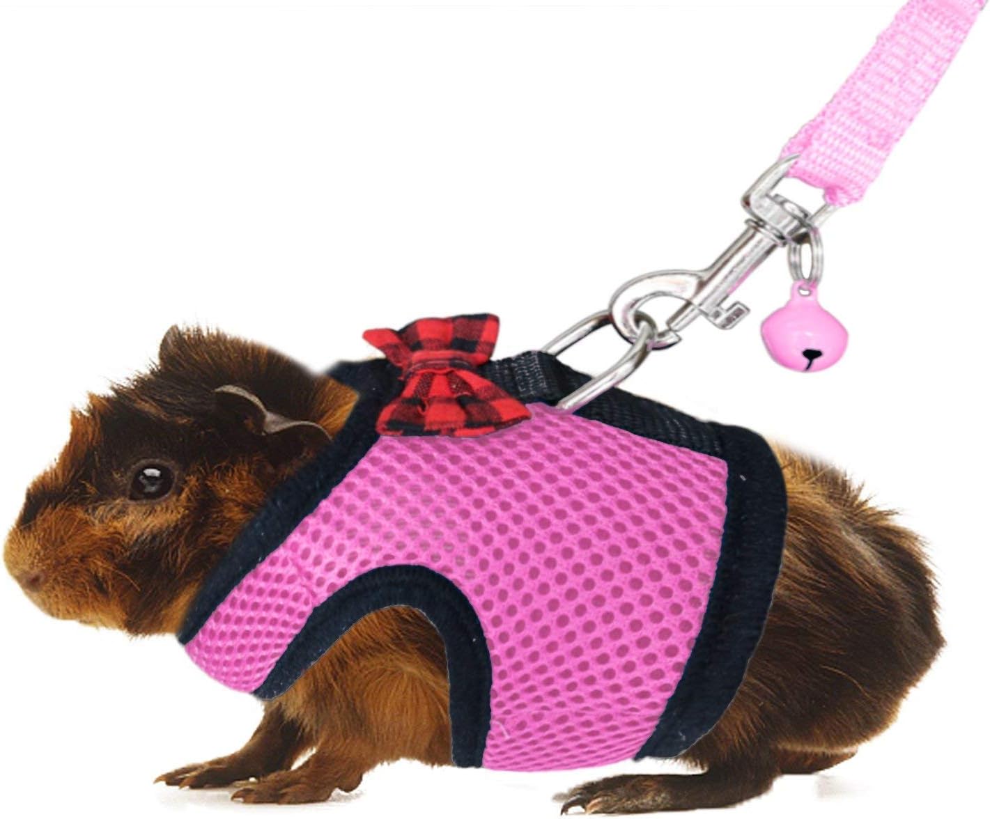 Rypet guinea pig harness and leash set front view
