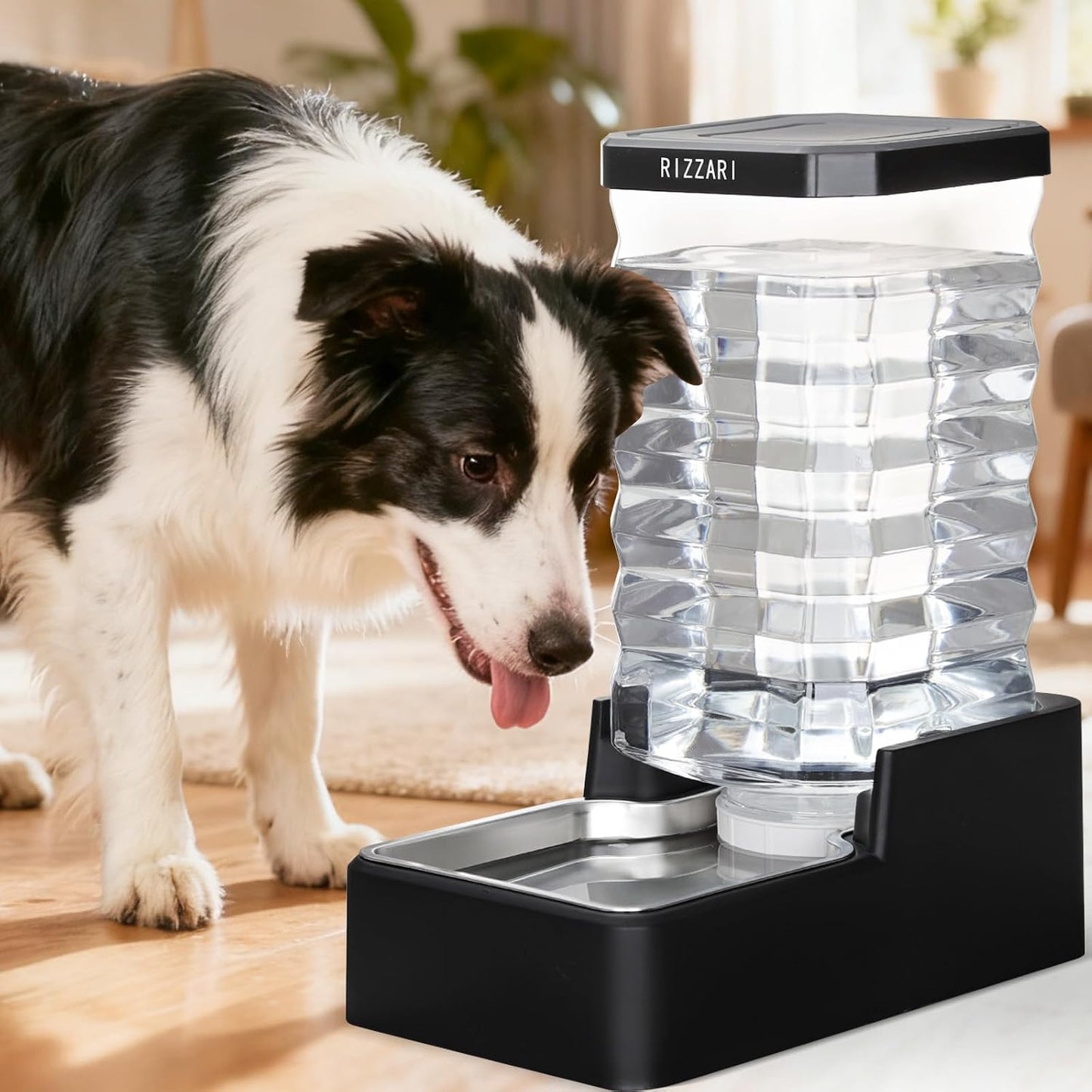 Rizzari black stainless steel pet water station