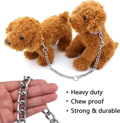 Filhome dual dog lead extension being held with one hand during an outdoor walk.