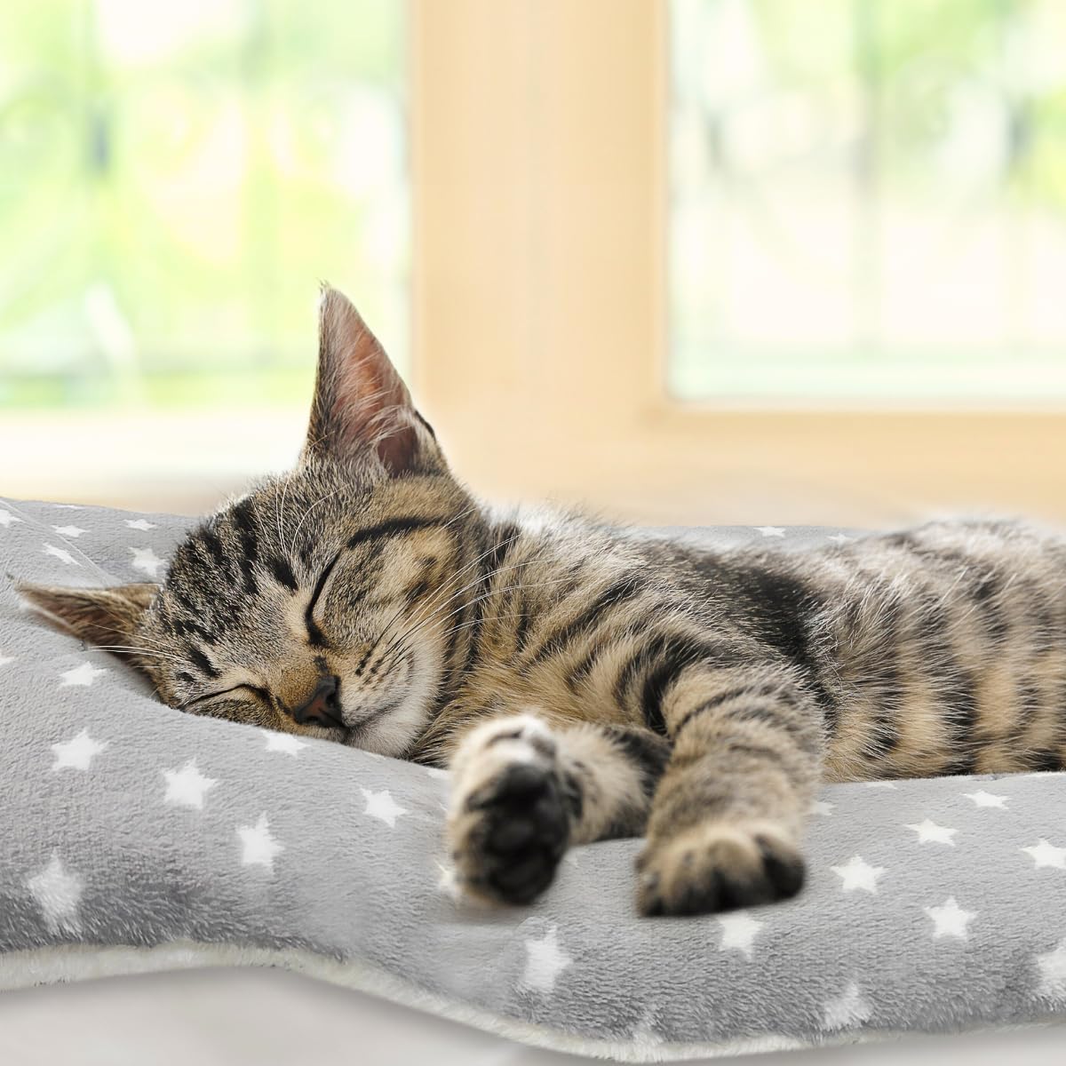 Close up of an indoor cat sleeping comfortably on the warm Tierecare fleece mat.