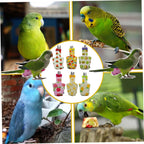 6PCS Washable Reusable Bird Diapers with Waterproof Lining & Adjustable Straps - Soft Parrot Diaper Clothes Costume Set for for Parakeets, for Budgies, for Mini Macaws (M) - Image 9