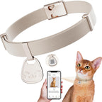 Typecase cat collar with QR code name tag in khaki front view on a pet