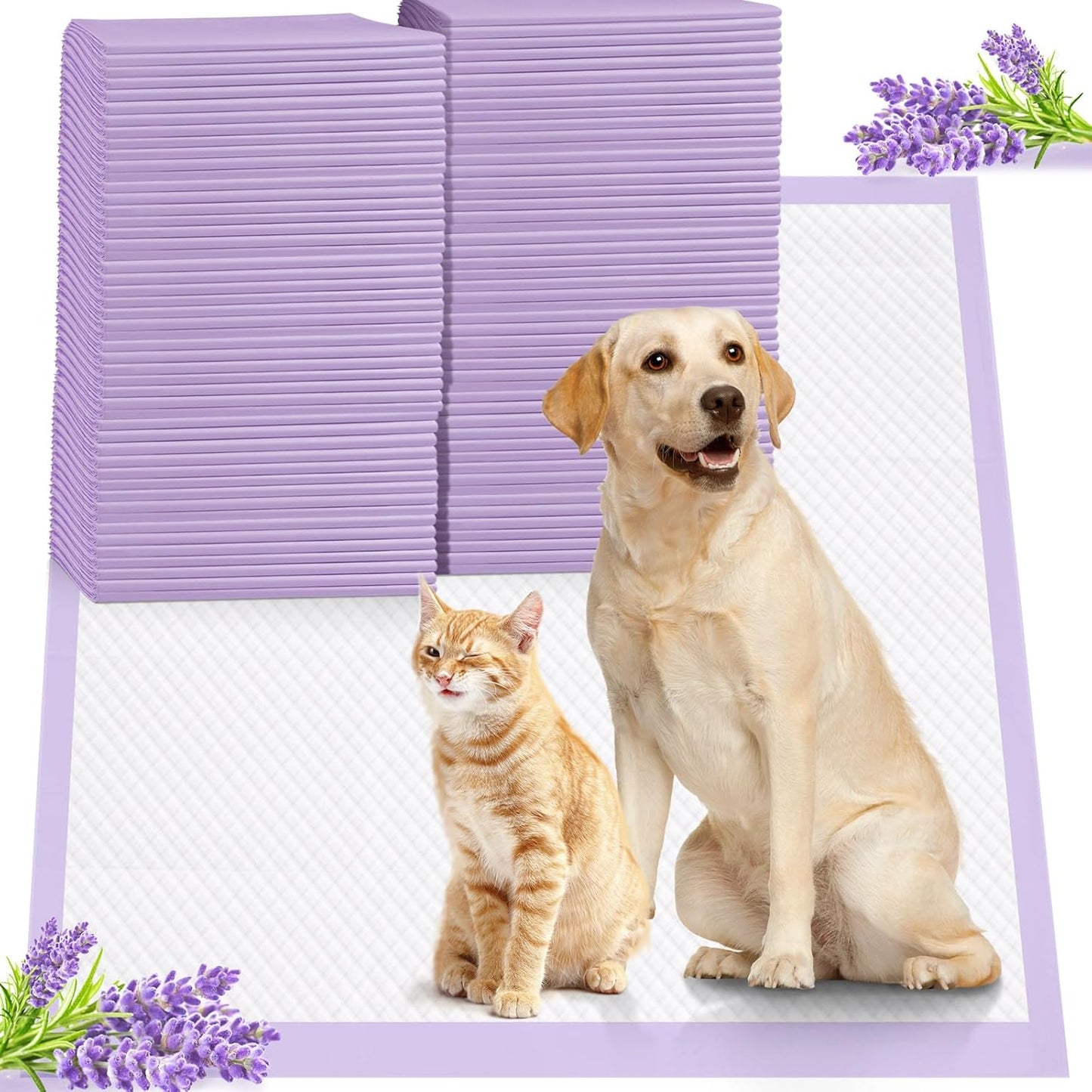 Iweepet massive dog pee pads multi pet usage demonstration