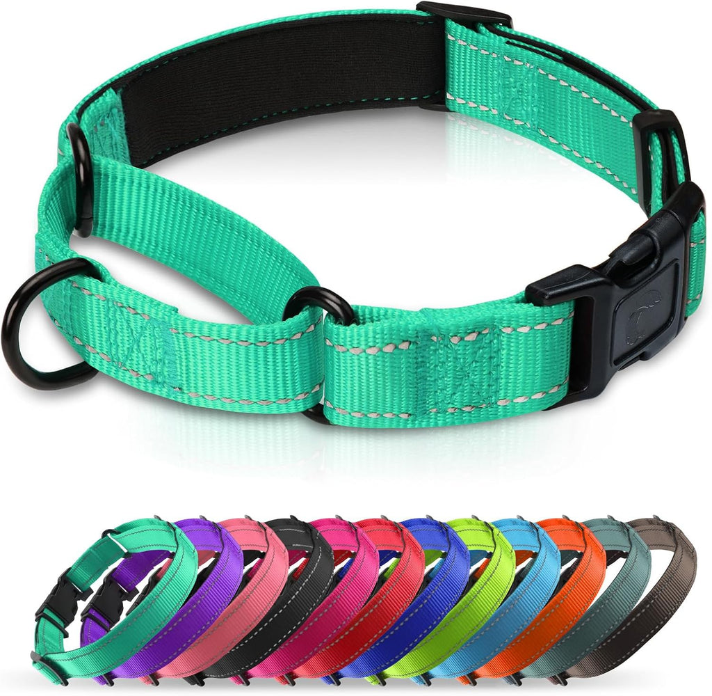 Martingale Collar for Dogs with Quick Release Buckle, Reflective Soft Padded & Escape Proof, Adjustable Nylon Dog Collars for Training & Daily Walking (Hotpink,M) - Image 14