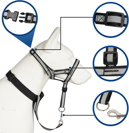 Side profile of large dog wearing Barkless head collar