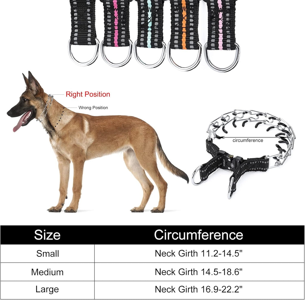 Proper placement diagram of the training collar high on a dog's neck.