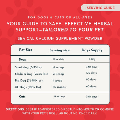 Healthy dog enjoying food with added Sea-Cal calcium supplement