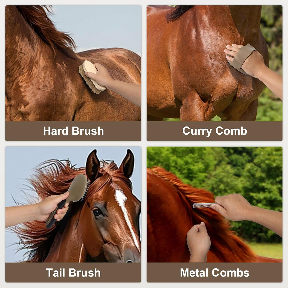 Durable metal combs and braiding accessories included in the Swess horse care kit.