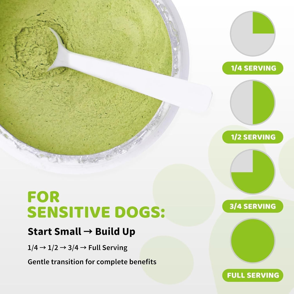 Dog tartar removal treatment powder results showing healthier canine gums and cleaner teeth surfaces