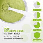 Dog tartar removal treatment powder results showing healthier canine gums and cleaner teeth surfaces