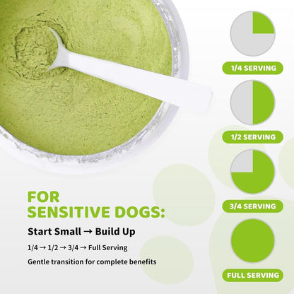 Dog tartar removal treatment powder results showing healthier canine gums and cleaner teeth surfaces