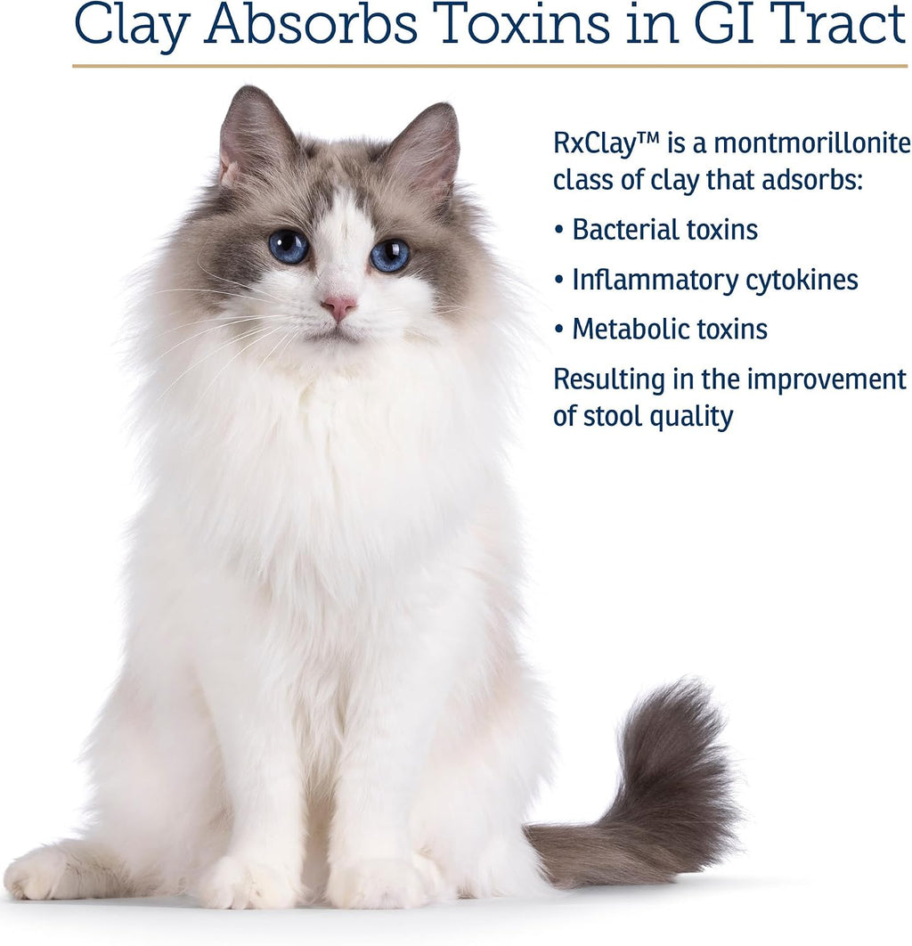 Close up of Rx Vitamins pet digestive support powder texture