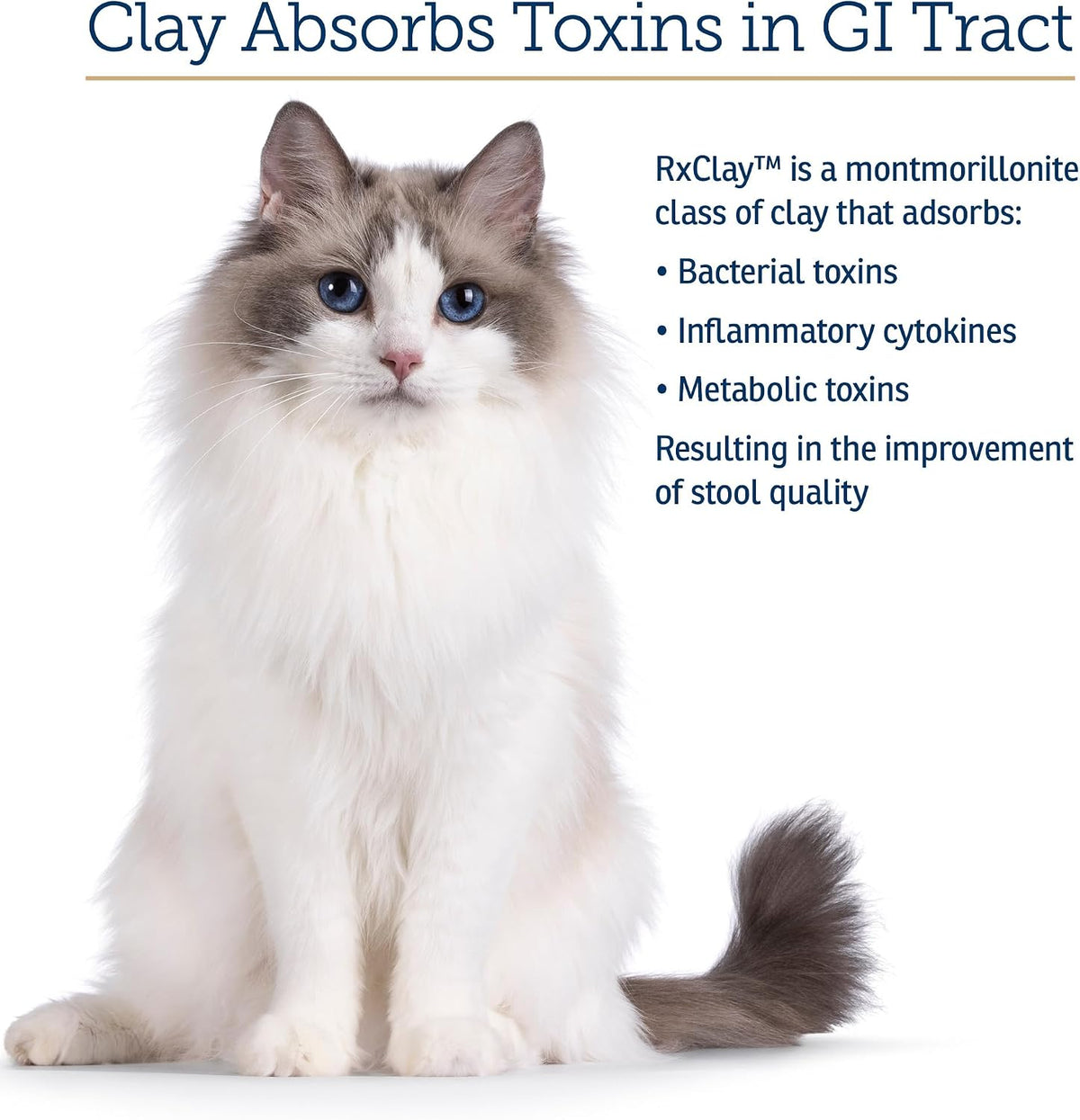 Close up of Rx Vitamins pet digestive support powder texture