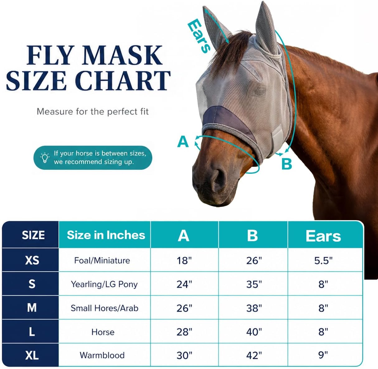 Close up of ear protection on horse fly mask