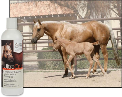 Close up view of the sixteen ounce packaging for UltraCruz equine color enhancing coat brightener