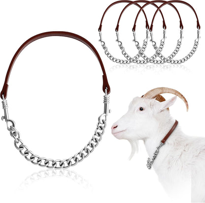 Misdary goat show collar front view featuring adjustable iron chain and brown leather handle
