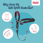 Halti Optifit Headcollar - Stop Your Dog Pulling on the Leash. Adjustable, Reflective and Lightweight, with Padded Nose Band. Dog Training Anti-Pull Collar for Medium Dogs (Size Medium) - Image 3