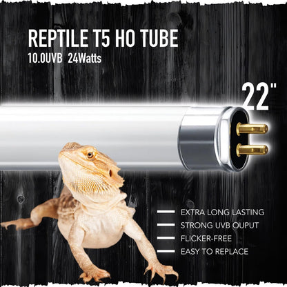 Two pack packaging of ReptiKing T5 HO UVB ten point zero lamps for bearded dragons