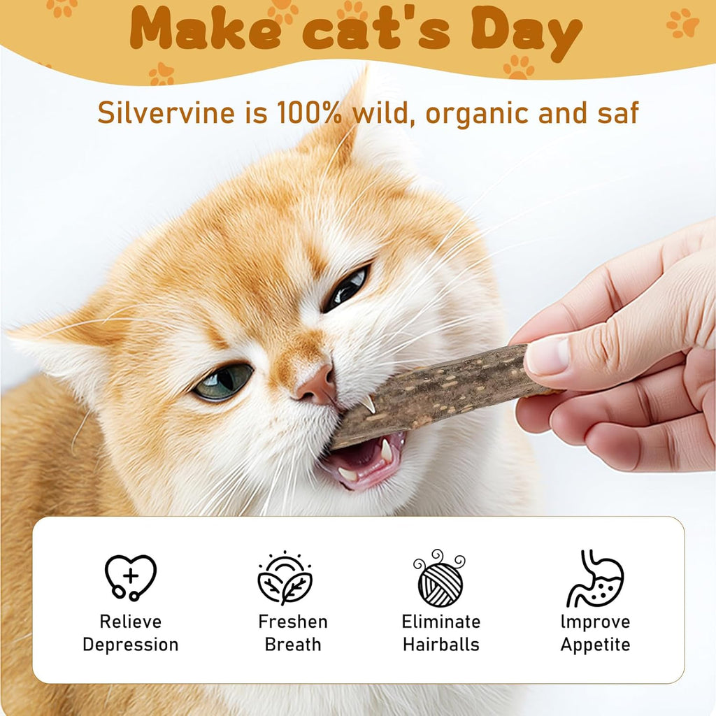 Cat playing happily with silvervine dental toy