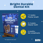 Barkbox Bright dental kit enzymatic toothpaste tube