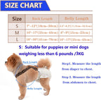 No choke dog diaper holder straps laying flat to display medium size dimensions