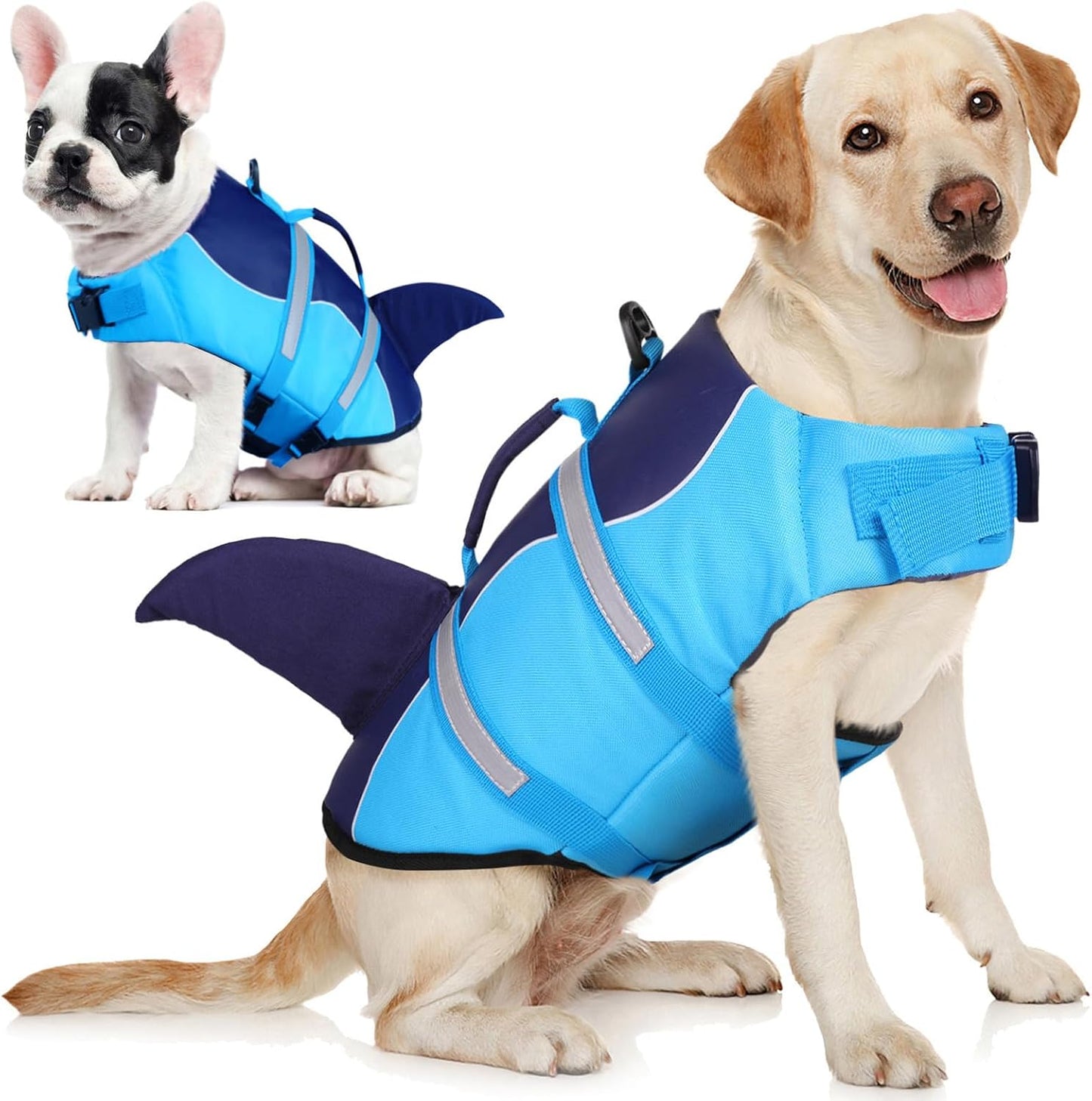 AOFITEE dog life jacket lifestyle image demonstrating buoyancy in a swimming pool.