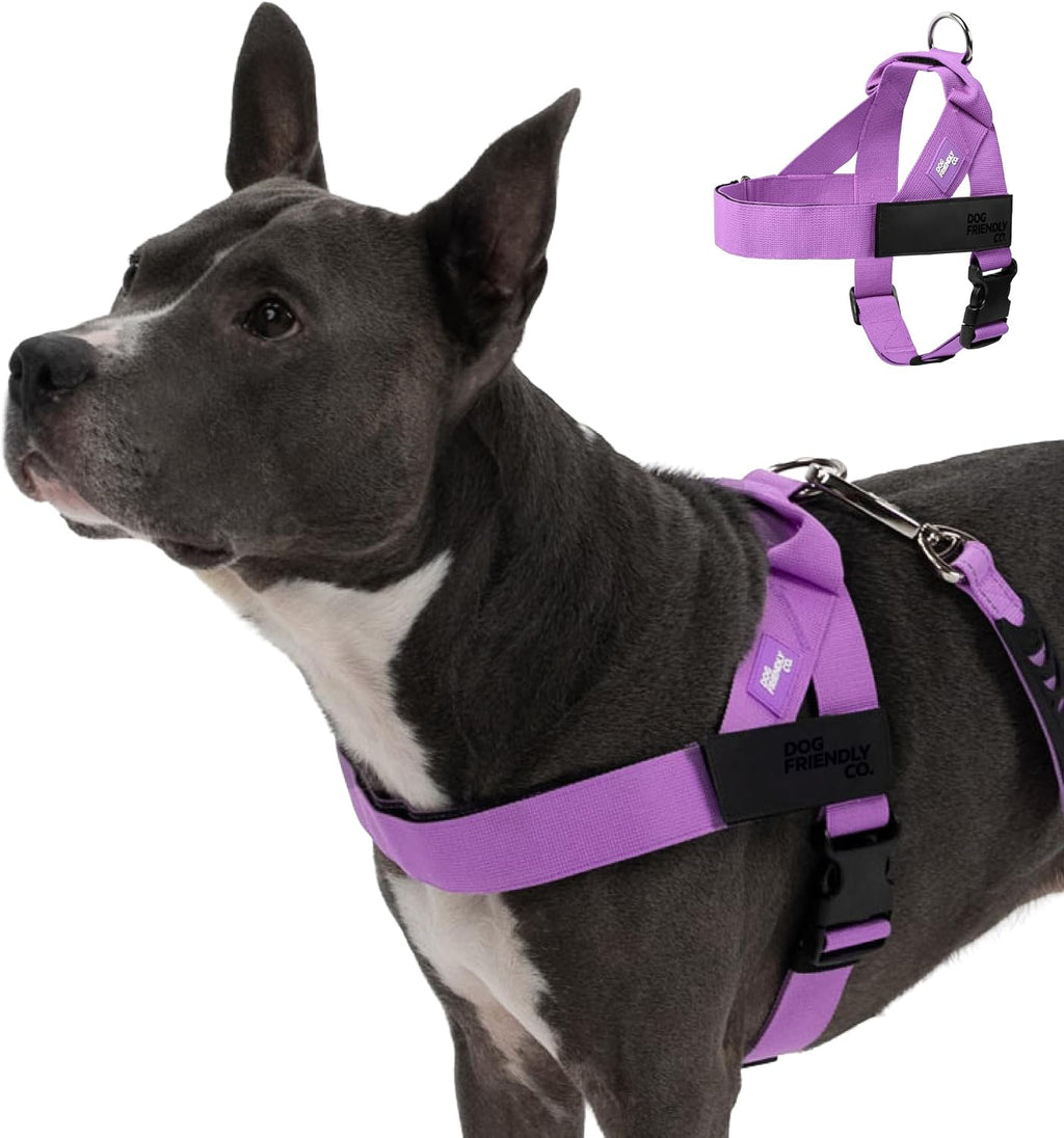 Dog Friendly Co pink heavy duty walking harness for large dogs back view