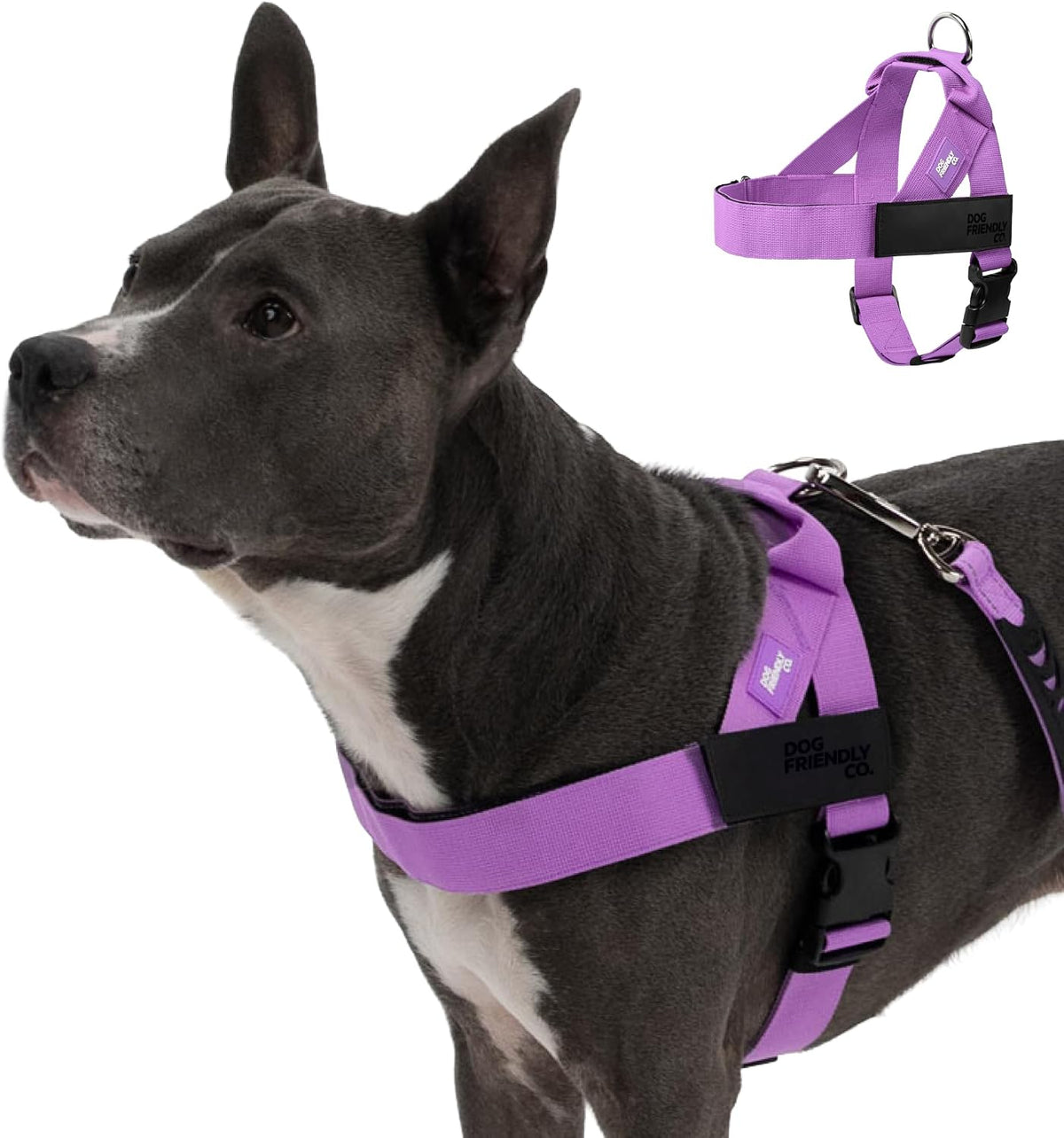Dog Friendly Co pink heavy duty walking harness for large dogs back view
