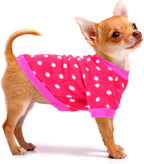 Two piece imported dog clothing set showcasing stylish patterns