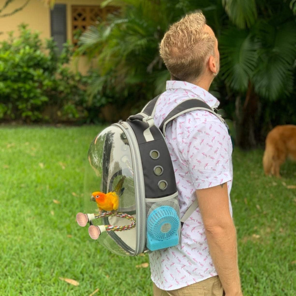 Bird travel backpack adjusted with padded shoulder straps for outdoor use