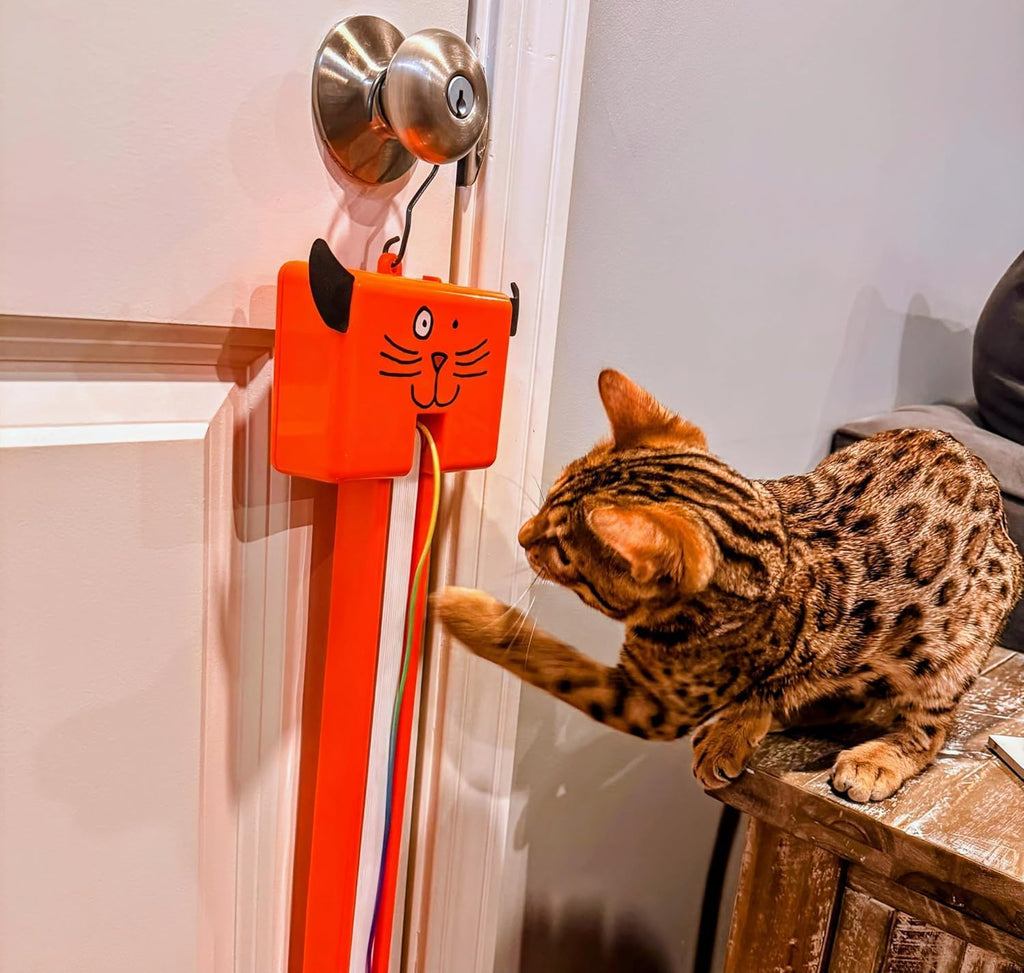 Cat playing with Moody Pet flying string toy in living room
