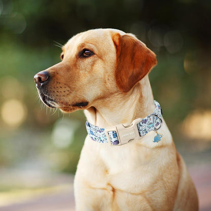 Adjustable plastic buckle on Aring Pet dog collar