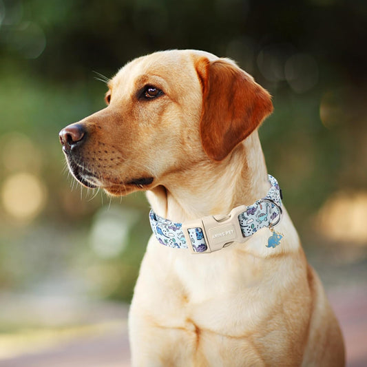 Adjustable plastic buckle on Aring Pet dog collar