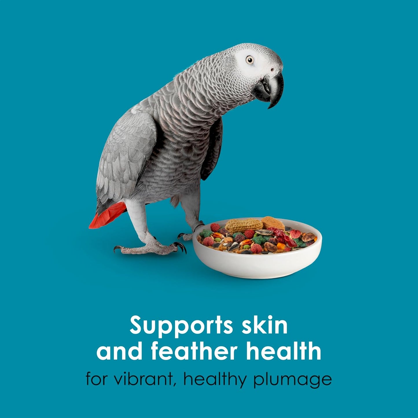 Kaytee Forti-Diet Pro Health Nourish+Protect Parrot Food, Comprehensive Nutrition Backed by Science, Digestive Health, Immune Support, 5 pounds - Image 8