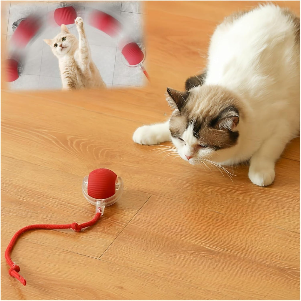 Packaging contents for Zonciho rechargeable cat ball