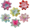 UBQUBQ dog collar flowers accessories set front view