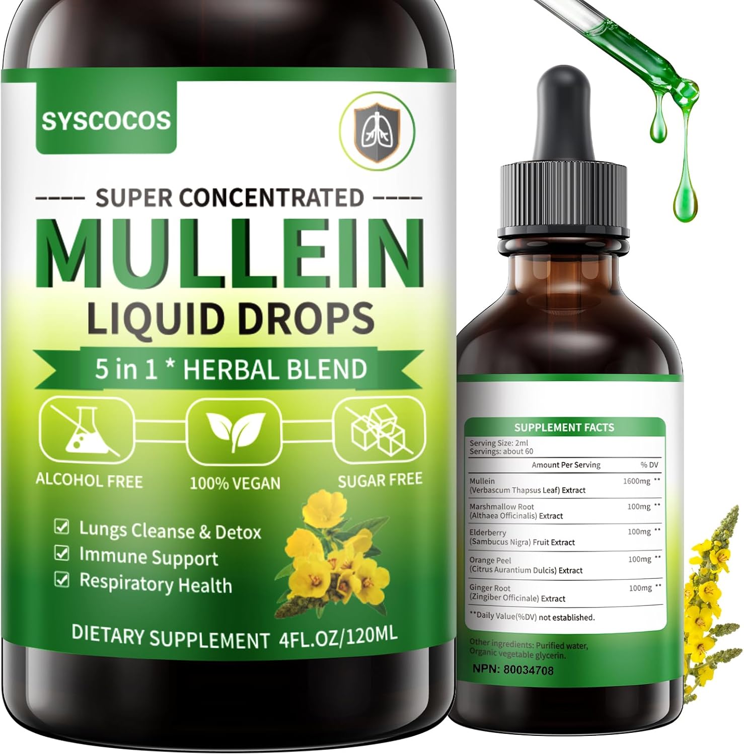 Syscocos 5 in 1 Mullein Drops bottle front view respiratory supplement