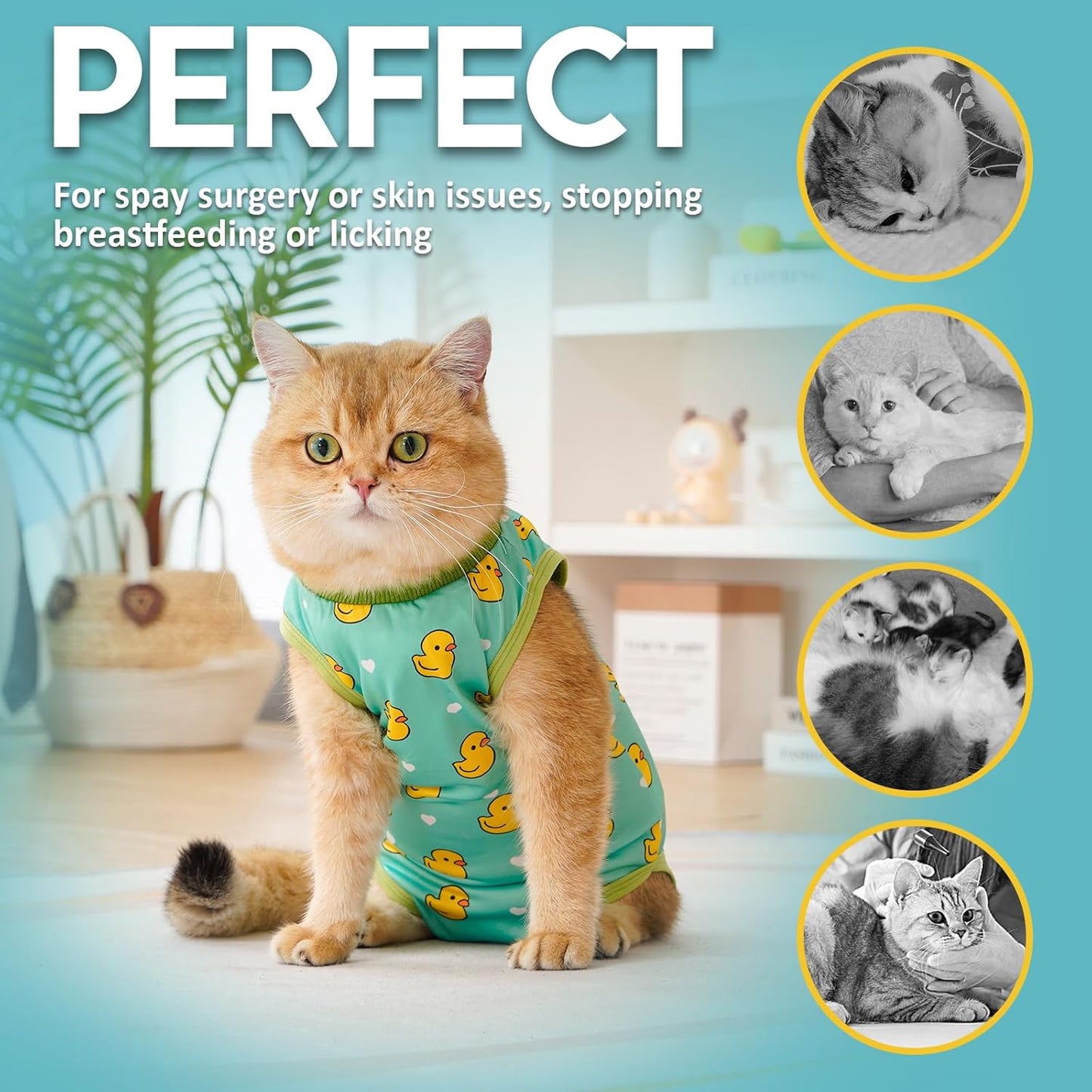 Avont female cat surgical recovery apparel highlighting the adjustable neck drawstring.