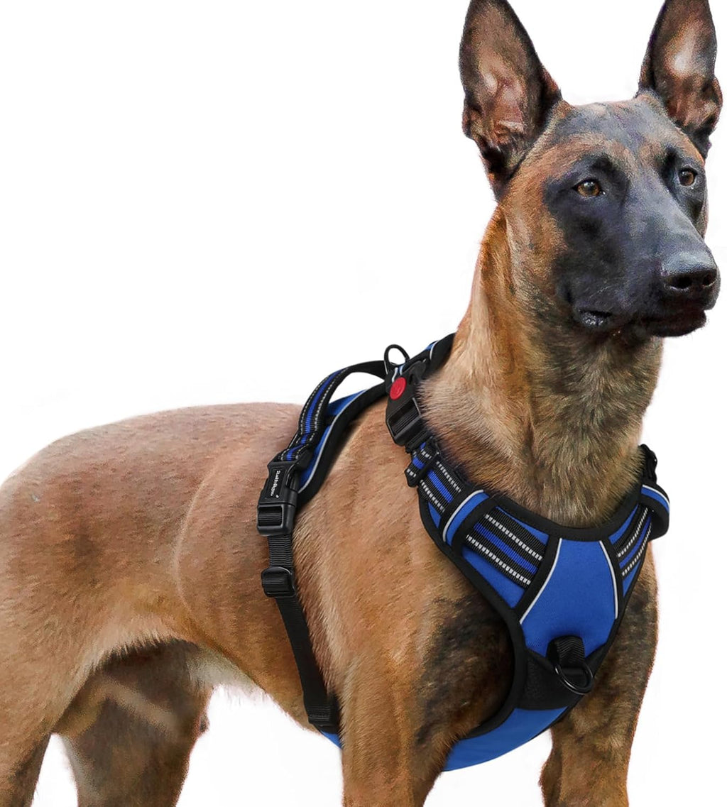 rabbitgoo Dog Harness for Large, No Pull Easy On & Off with 3 Buckles Pet Harness, Adjustable Soft Walking Vest with 2 Clips and Handle, Reflective for Large Dogs, Blue, L - Image 10