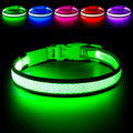 Flashseen LED dog collar front view in green