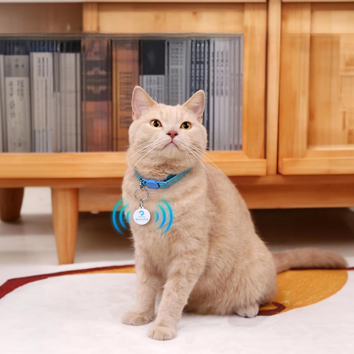 Waterproof passive pet microchip collar tag pair showing compact lightweight dimensions