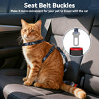 Black escape proof kitten harness with secure quick release ABS buckles.
