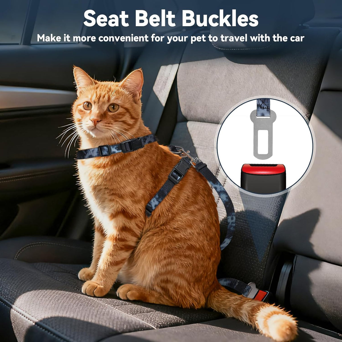 Black escape proof kitten harness with secure quick release ABS buckles.