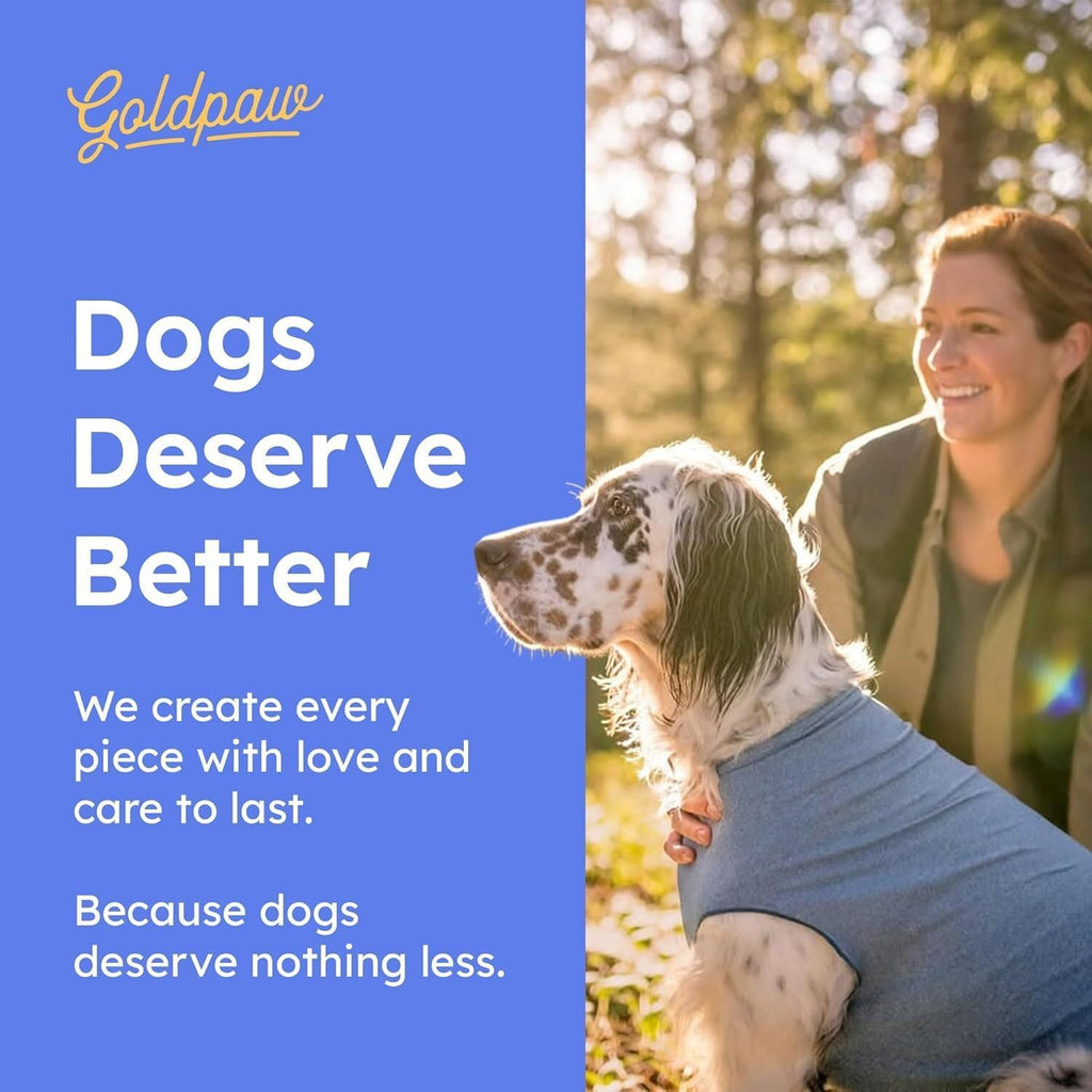 Small dog wearing Gold Paw cooling shirt outdoors