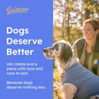 Small dog wearing Gold Paw cooling shirt outdoors