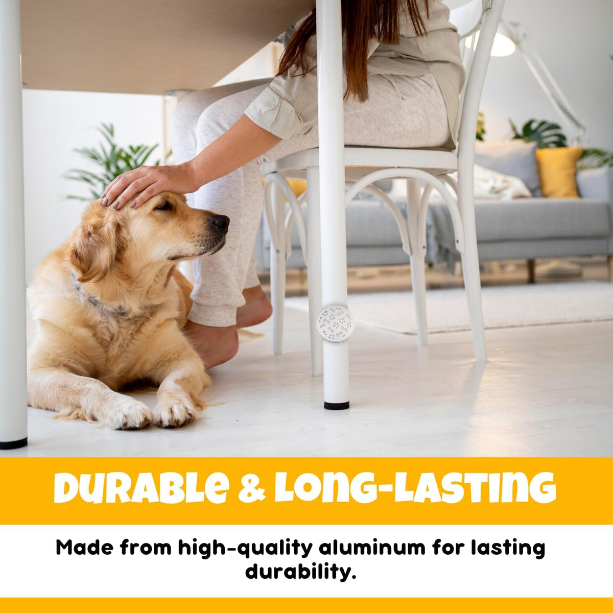 Magnetic scent tins attached to metal surface for dog training